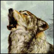 imudaxa's Avatar