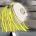 yxysix's Avatar